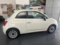 Fiat 500 500 1.2 Lounge 69cv dualogic my20 Bianco - thumbnail 3