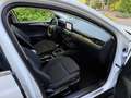Ford Focus Turnier 1.5 TDCi Titanium Business LED*NAV Weiß - thumbnail 11