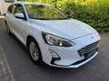 Ford Focus Turnier 1.5 TDCi Titanium Business LED*NAV Weiß - thumbnail 4