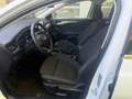 Ford Focus Turnier 1.5 TDCi Titanium Business LED*NAV Weiß - thumbnail 10