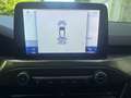 Ford Focus Turnier 1.5 TDCi Titanium Business LED*NAV Weiß - thumbnail 16