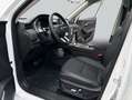 GWM HAVAL H6 HAVAL H6 Jolion Pro 1.5 Turbo FWD Premium Weiß - thumbnail 9