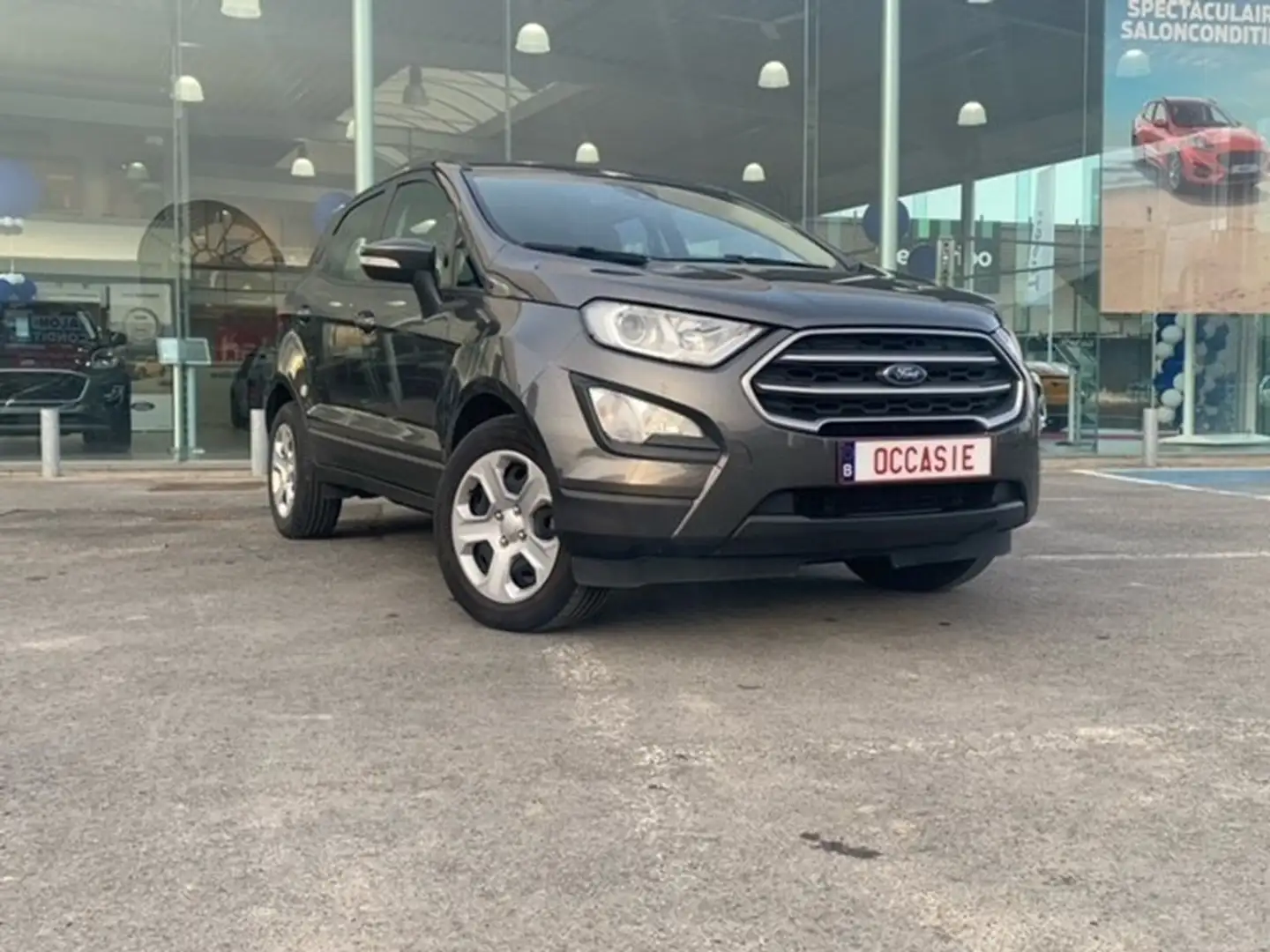 Ford EcoSport Gris - 1