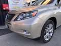 Lexus RX 450h 450h PACK PRESIDENT TECHNO DYNAMIC 4WD - thumbnail 17