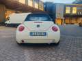 Volkswagen New Beetle New Beetle Cabrio Cabrio 1.9 tdi 100cv Beige - thumbnail 7
