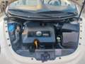 Volkswagen New Beetle New Beetle Cabrio Cabrio 1.9 tdi 100cv Beige - thumbnail 12