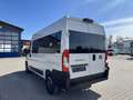 Fiat Ducato KOMBI PANORAMA MODULAR 35 L2H2 180 AT Alb - thumbnail 8