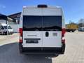 Fiat Ducato KOMBI PANORAMA MODULAR 35 L2H2 180 AT Alb - thumbnail 6
