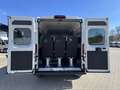 Fiat Ducato KOMBI PANORAMA MODULAR 35 L2H2 180 AT Alb - thumbnail 7