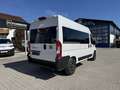 Fiat Ducato KOMBI PANORAMA MODULAR 35 L2H2 180 AT Alb - thumbnail 5