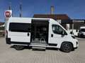 Fiat Ducato KOMBI PANORAMA MODULAR 35 L2H2 180 AT Alb - thumbnail 3