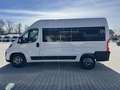 Fiat Ducato KOMBI PANORAMA MODULAR 35 L2H2 180 AT Alb - thumbnail 9