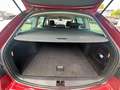Skoda Octavia Combi Drive / DSG/ ACC / SMARTLINK Rouge - thumbnail 9