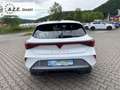 CUPRA Leon 1.5 eTSI DSG *SH*NAVI*LED*TWA*APP*KAMERA*AHK* 1... Bianco - thumbnail 6