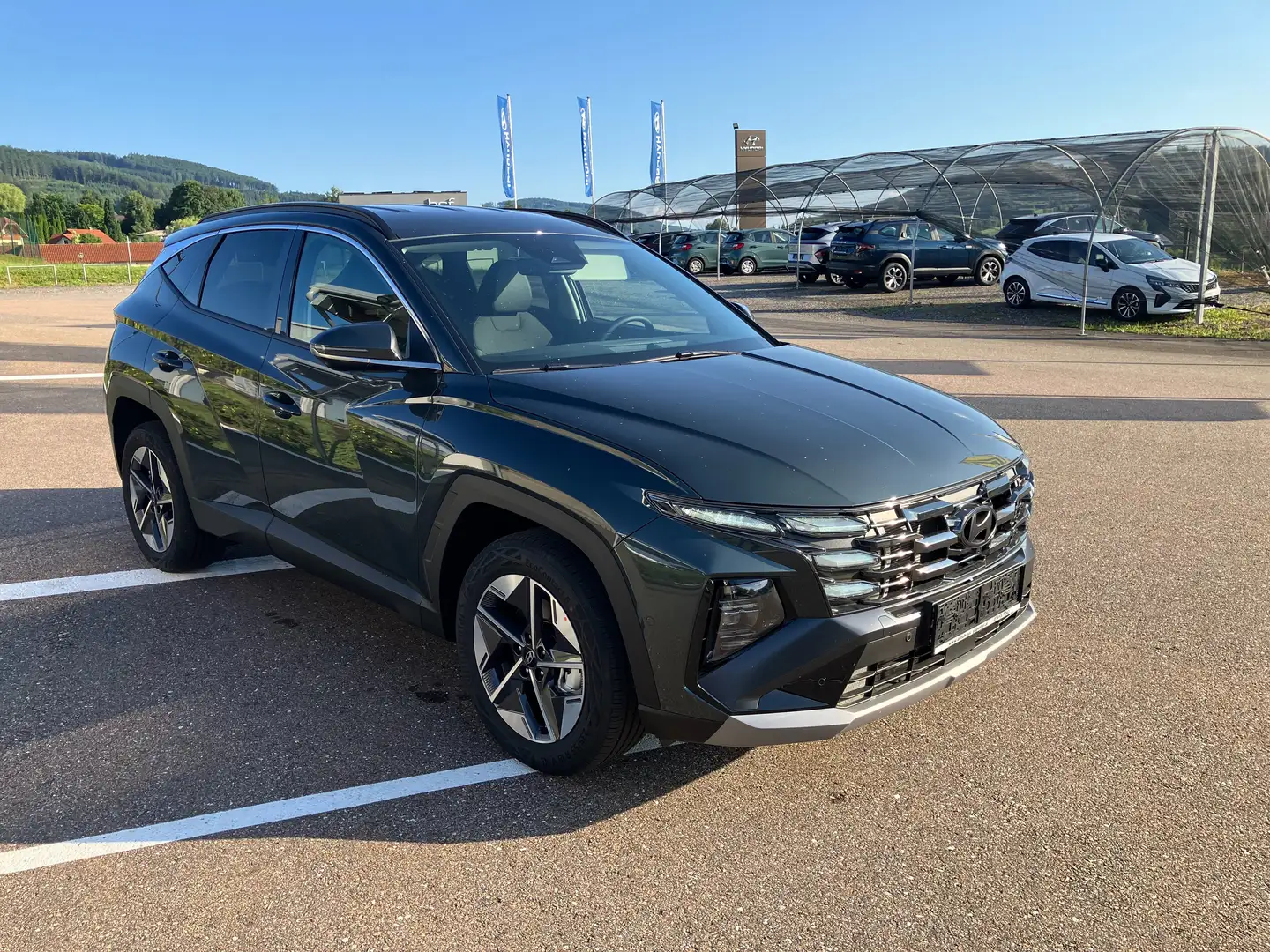 Hyundai TUCSON 1,6 T-GDI HEV 4WD Go Plus Aut. Smart Sense-Paket Grün - 1