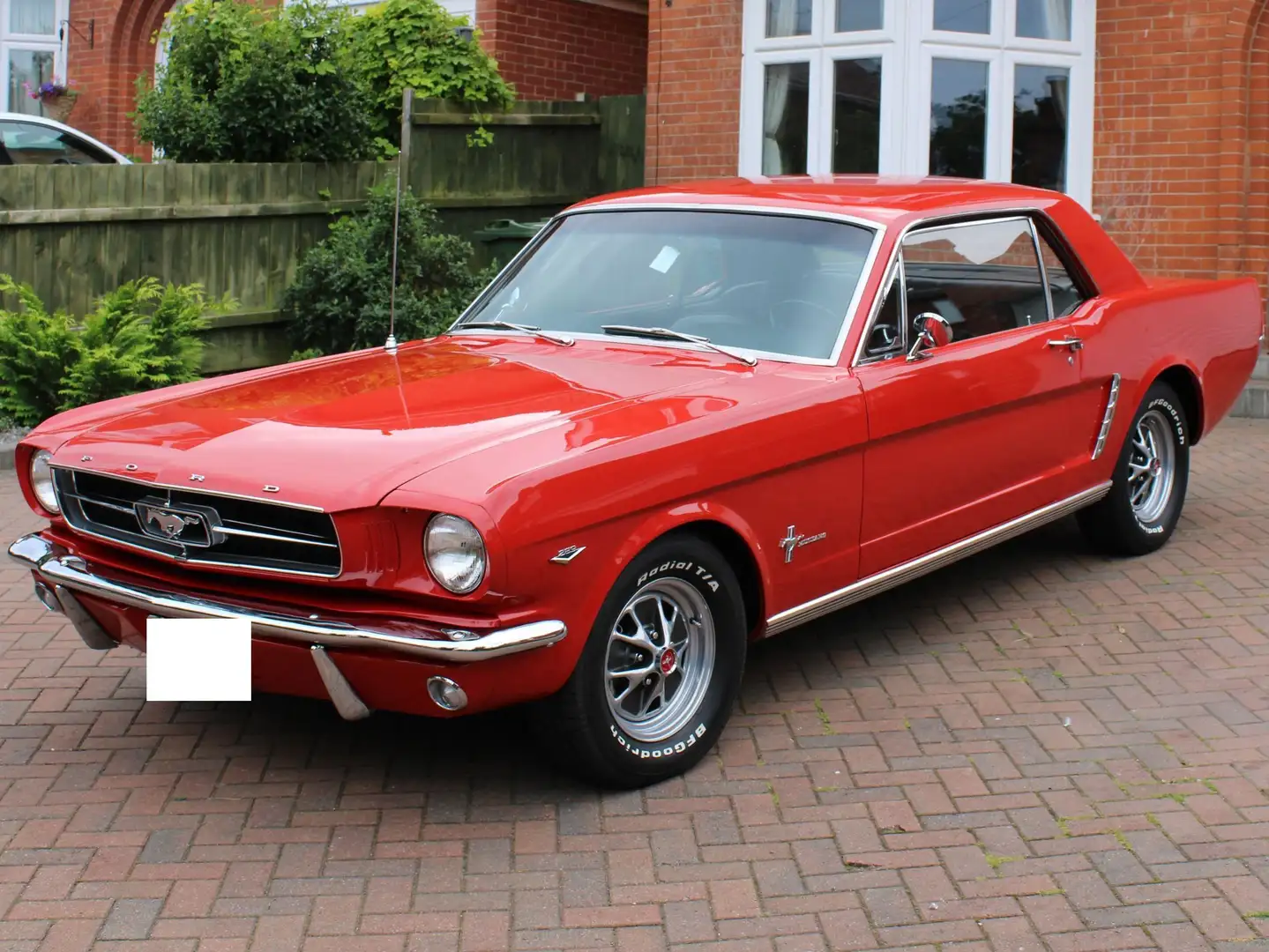 Ford Mustang V8 289ci Rot - 1