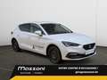 SEAT Leon 1,0 TSI STYLE 5T 81 DG8 M6 Weiß - thumbnail 11