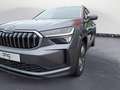 Skoda Kodiaq 2.0 TDI 4x4DSG Selection Navi Sitzheizung Grau - thumbnail 13