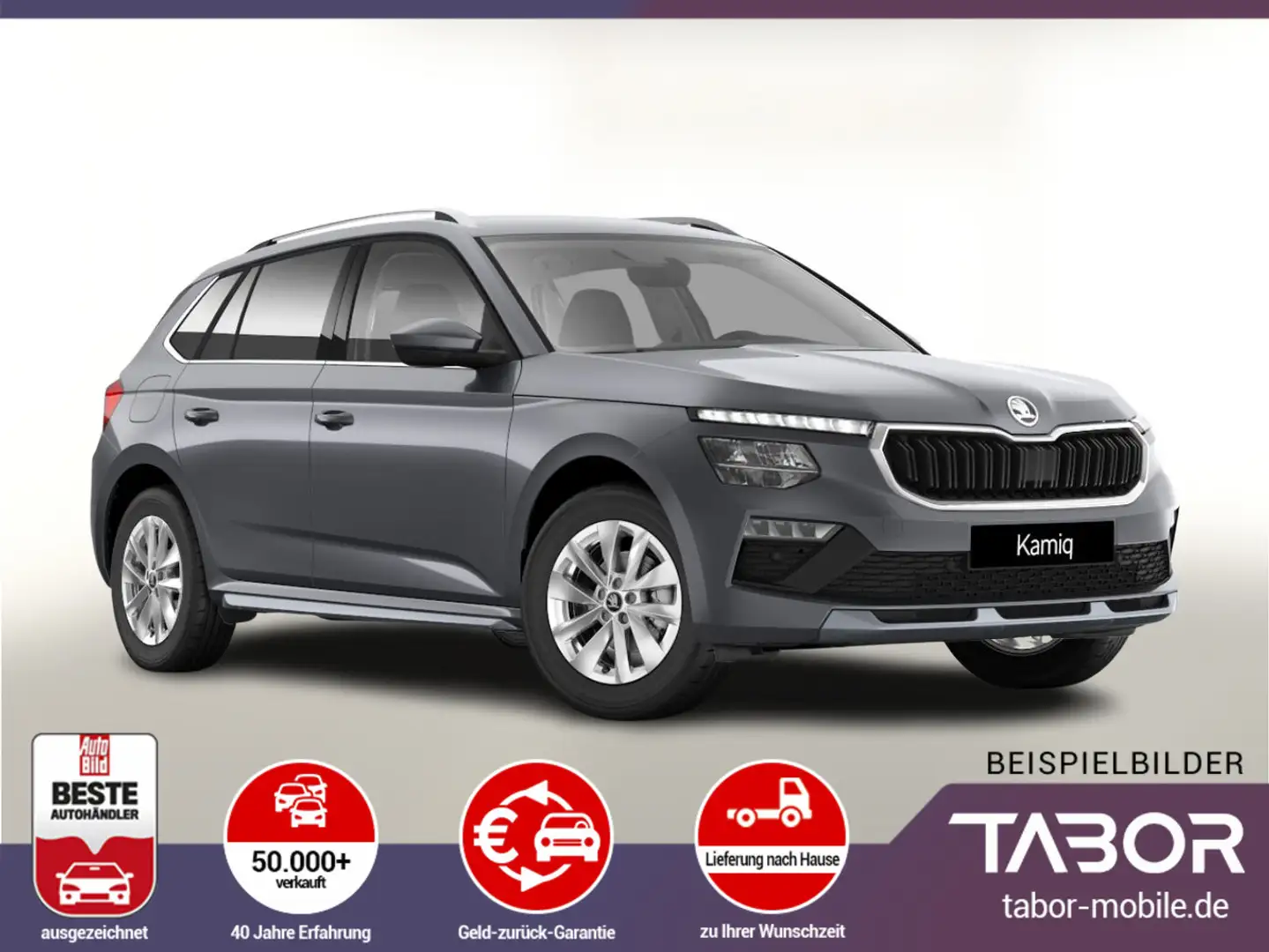 Skoda Kamiq TSI 116 Selec LED Kam Kessy SHZ PDC SunS Grijs - 1