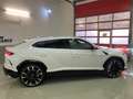 Lamborghini Urus Blanc - thumbnail 6