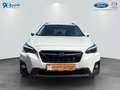 Subaru XV 2.0i Lineartronic Exclusive+ Weiß - thumbnail 2