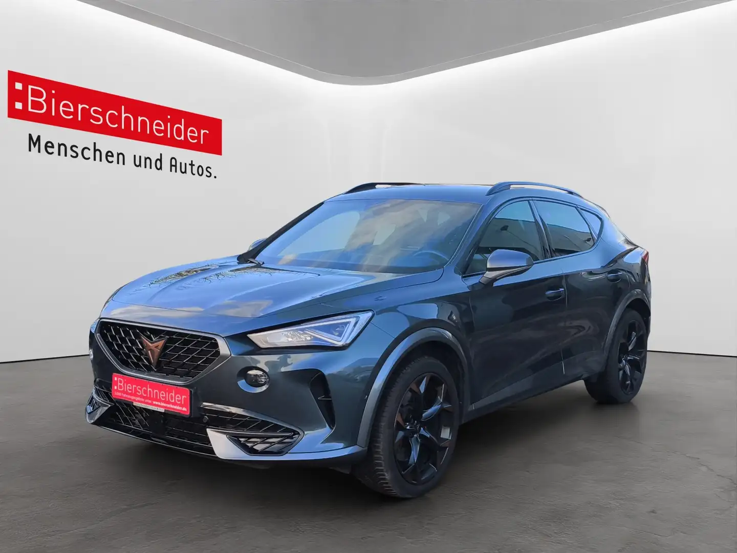 CUPRA Formentor 2.0 TSI DSG 4Drive VZ LED NAVI 19 KAMERA PARKLENK Grau - 2