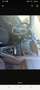Ford Focus Focus+Turnier+1.5+TDCi+DPF+Start-Stopp-System+Ambi Weiß - thumbnail 6