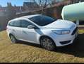 Ford Focus Focus+Turnier+1.5+TDCi+DPF+Start-Stopp-System+Ambi Weiß - thumbnail 2