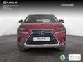 Lexus NX 300 300h Executive Navigation 4WD Rojo - thumbnail 5