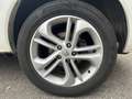 Renault Koleos 1.5 dci 4x4 Bose Weiß - thumbnail 21