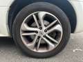 Renault Koleos 1.5 dci 4x4 Bose Weiß - thumbnail 19