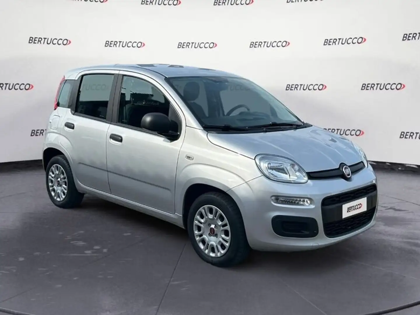 Fiat Panda 1.2 Easy Zilver - 1