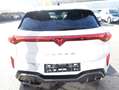 CUPRA Terramar 1.5 eTSI 110 kW *LED*NAVI*RFK*HUD* Weiß - thumbnail 5