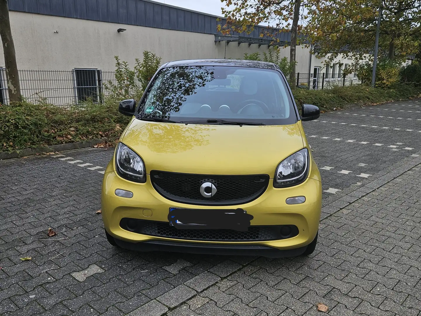 smart forFour smart forfour Giallo - 1