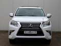Lexus GX 460 Luxury | 7 persoons | Mark Levinson | Schuifdak | White - thumbnail 2