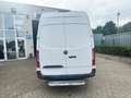 Mercedes-Benz Sprinter 315 cdi L3H2 - 28500 EURO EX BTW Alb - thumbnail 11