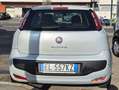 Fiat Punto Evo Punto III 2009 Evo5p 1.3 mjt Active s Grigio - thumbnail 3