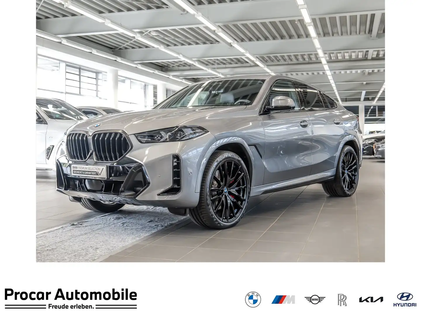 BMW X6 xDrive30d M Sport PANO ACC RFK NAVI LED DAB Grau - 1