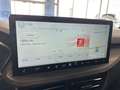 Ford Kuga 2.5 Duratec 180ch Hybrid FlexiFuel Active X Powers Grün - thumbnail 18