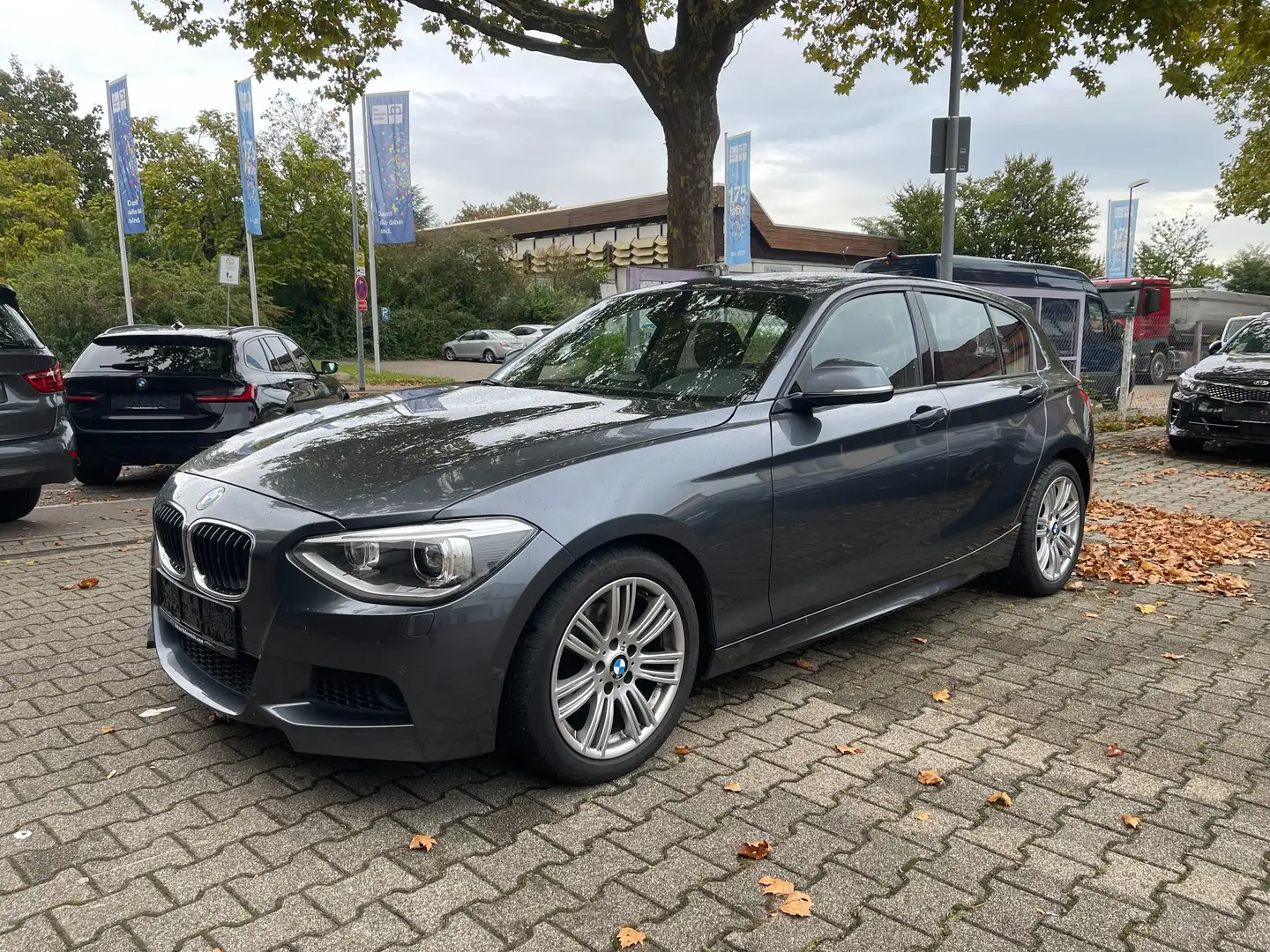 BMW 120 120d Lim.5-trg.M Paket, Shadow Line,Navi,Xenon Gris - 1