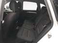 Audi Q5 2.0TDI Ambition 143 Blanco - thumbnail 11