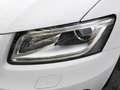 Audi Q5 2.0TDI Ambition 143 Blanco - thumbnail 22