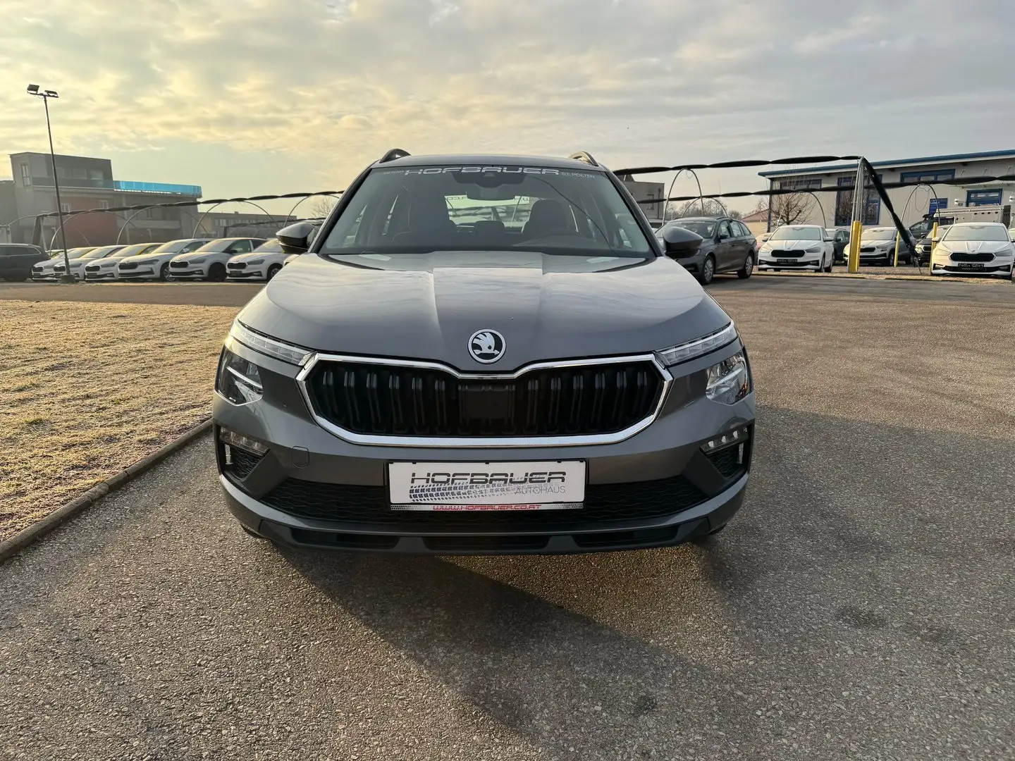 Skoda Kamiq Essence TSI Gris - 2