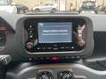 Fiat Panda Panda 1.0 firefly hybrid 5 posti Monitor Touch !!! Nero - thumbnail 10