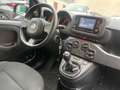 Fiat Panda Panda 1.0 firefly hybrid 5 posti Monitor Touch !!! Nero - thumbnail 9
