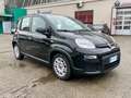 Fiat Panda Panda 1.0 firefly hybrid 5 posti Monitor Touch !!! Nero - thumbnail 3