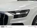 Audi SQ8 4.0 TFSI quattro STHZ ACC HD MATRIX UVM. Weiß - thumbnail 6