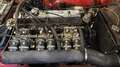 Triumph TR6 A.S.I Rot - thumbnail 20