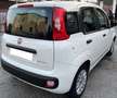 Fiat Panda 1.0 70cv Hybrid - 5 posti - sedile regolabile - NO Blanco - thumbnail 3
