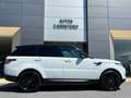 Land Rover Range Rover Sport 3.0SDV6 HSE Dynamic 306 Aut. Bianco - thumbnail 6